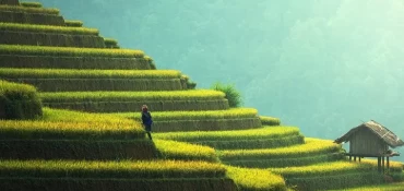 4 activités à faire pour un voyage riche en culture à Bali