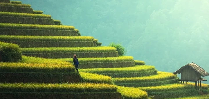 4 activités à faire pour un voyage riche en culture à Bali