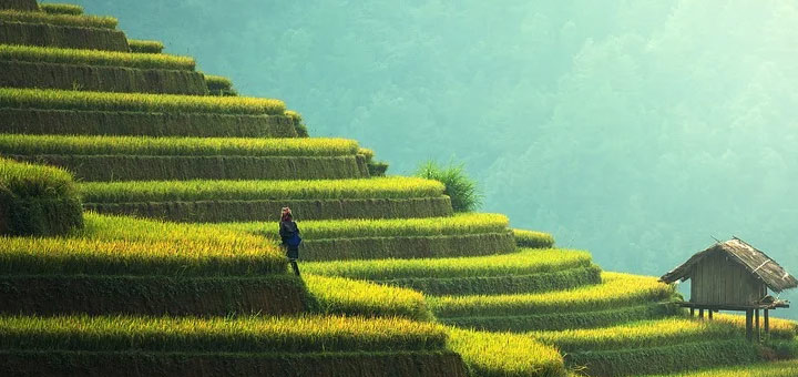 4 activités à faire pour un voyage riche en culture à Bali